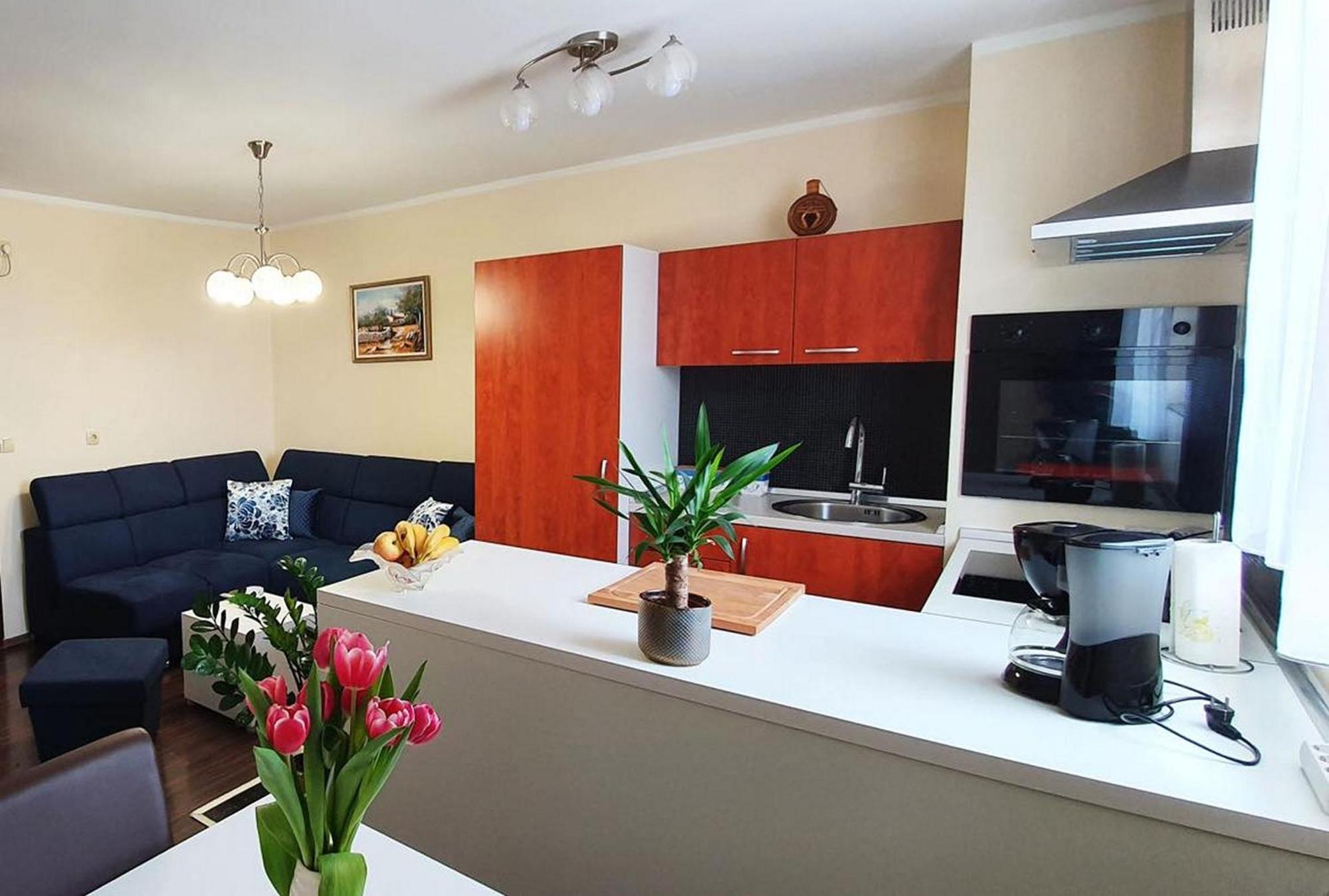 Apartments Tb بورات الغرفة الصورة